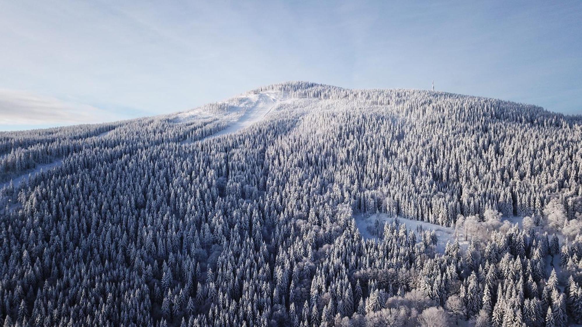 Panorama Ski, Bike, Spa & Restaurant - Czarna Gora Resort Stronie Śląskie Eksteriør billede