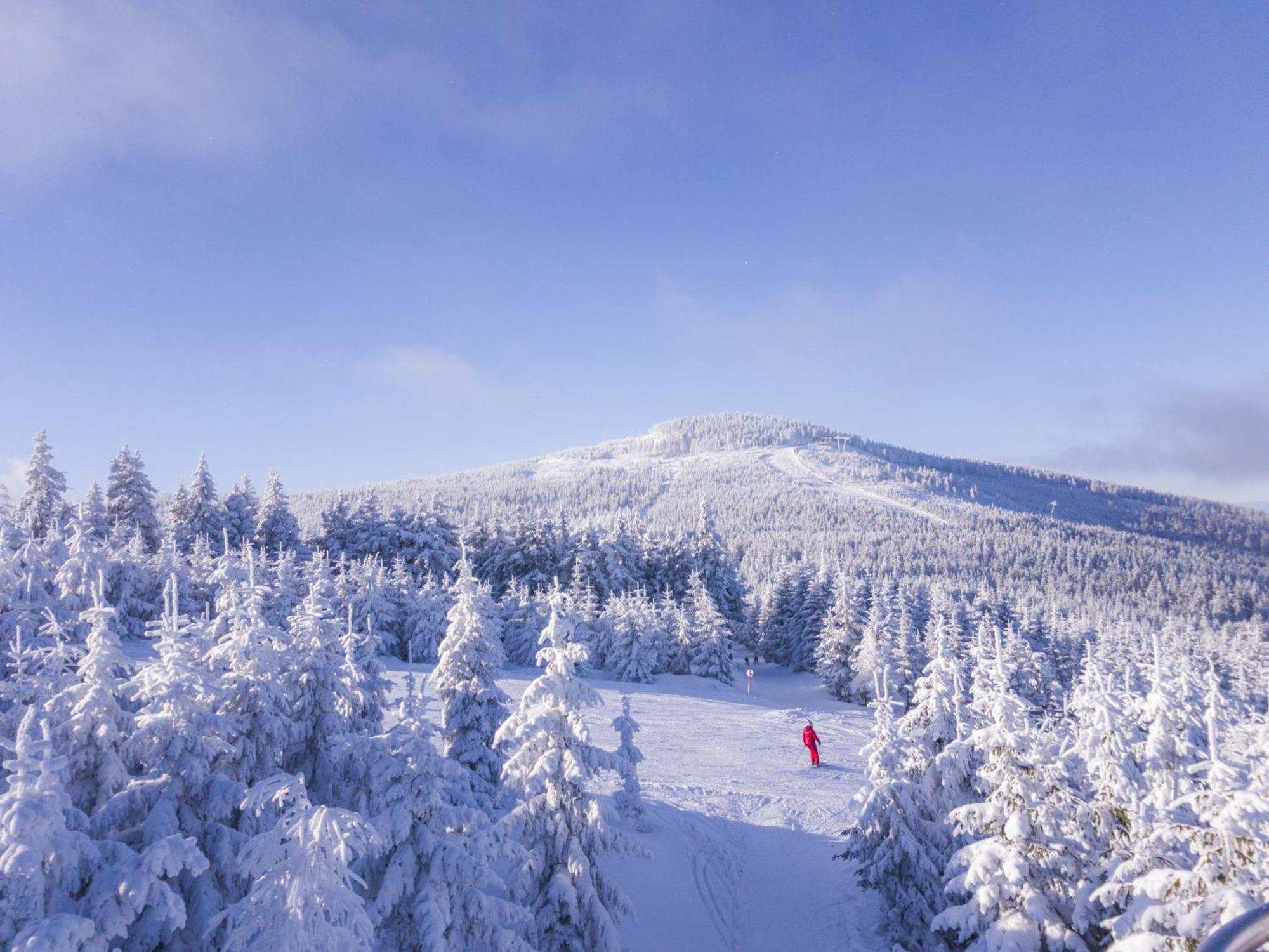 Panorama Ski, Bike, Spa & Restaurant - Czarna Gora Resort Stronie Śląskie Eksteriør billede