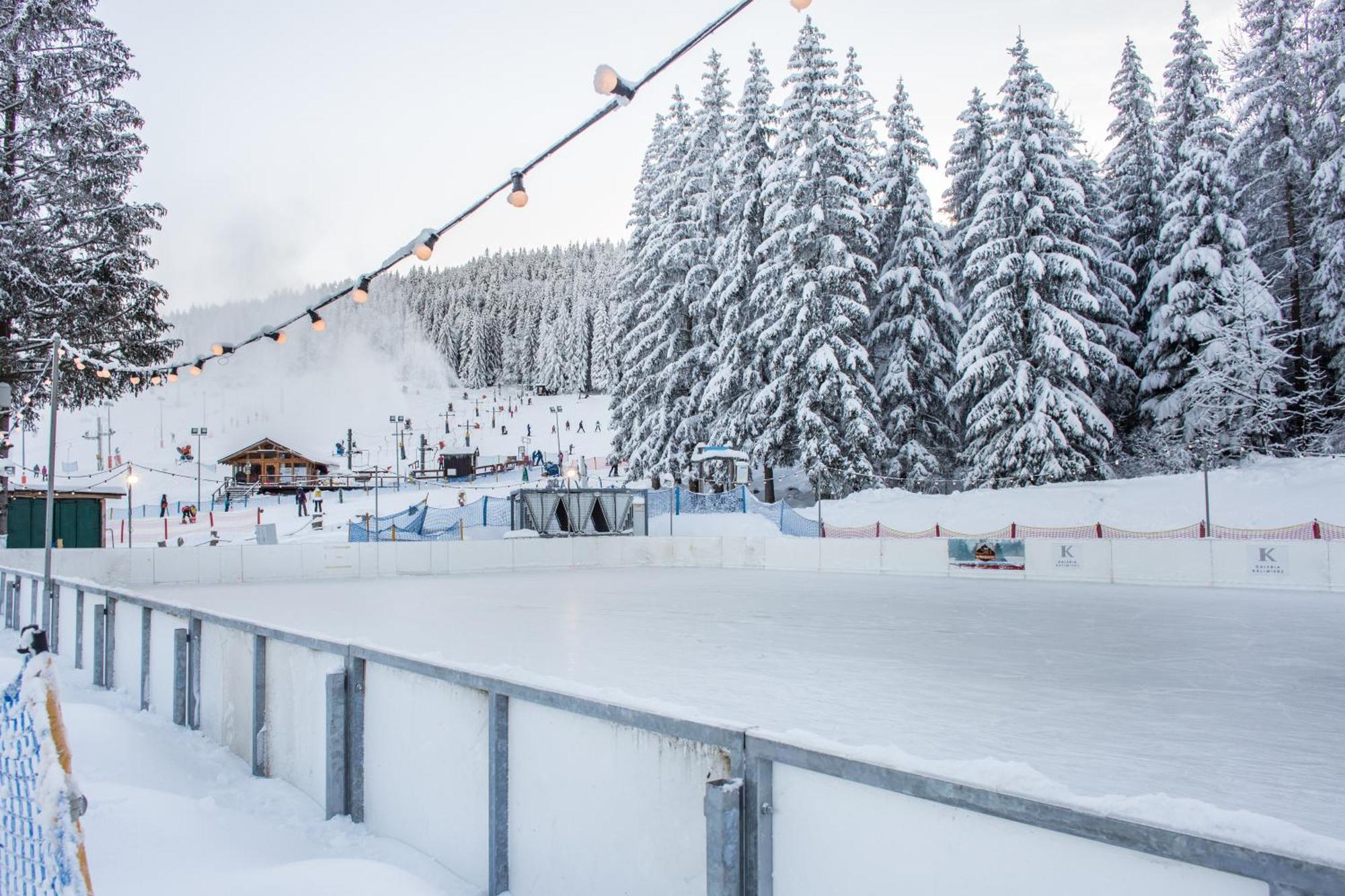 Panorama Ski, Bike, Spa & Restaurant - Czarna Gora Resort Stronie Śląskie Eksteriør billede